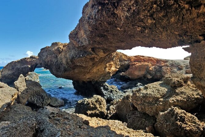 Half-Day Jeep Tour in Aruba - Reviews and Recommendations