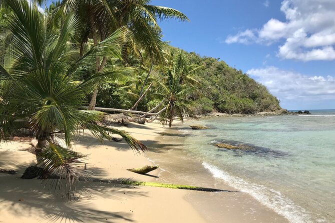 Half Day Jeep Tours and Excursions in Virgin Islands - About Jeep Surfari