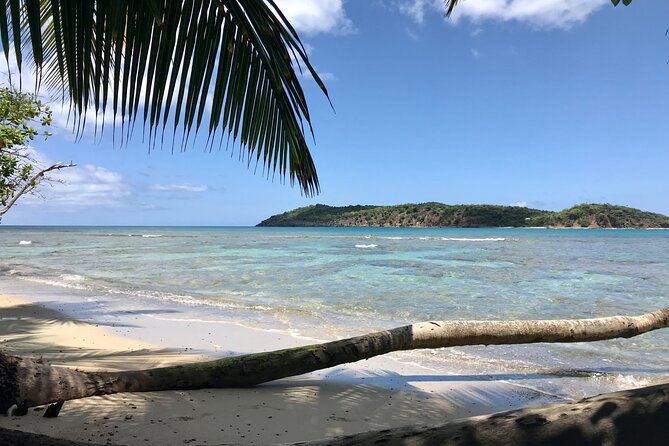 Half Day Jeep Tours and Excursions in Virgin Islands - Pickup and Arrival