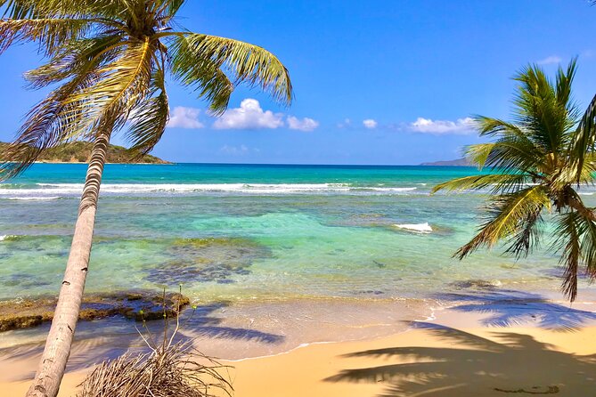 Half Day Jeep Tours and Excursions in Virgin Islands - Reviews and Ratings