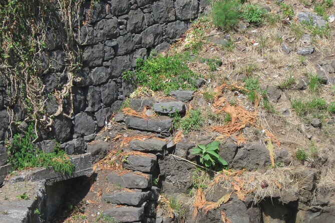Half Day Jeep Wine Tour and Tasting, & Sea Cliff Adventure - Traveler Feedback