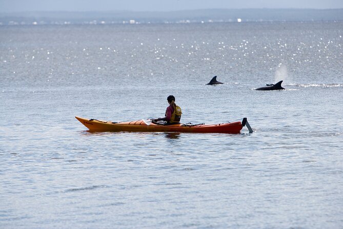 Half-Day Jervis Bay Sea Kayak Tour - Inclusions