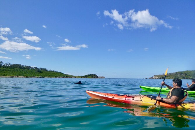 Half-Day Jervis Bay Sea Kayak Tour - Group Size