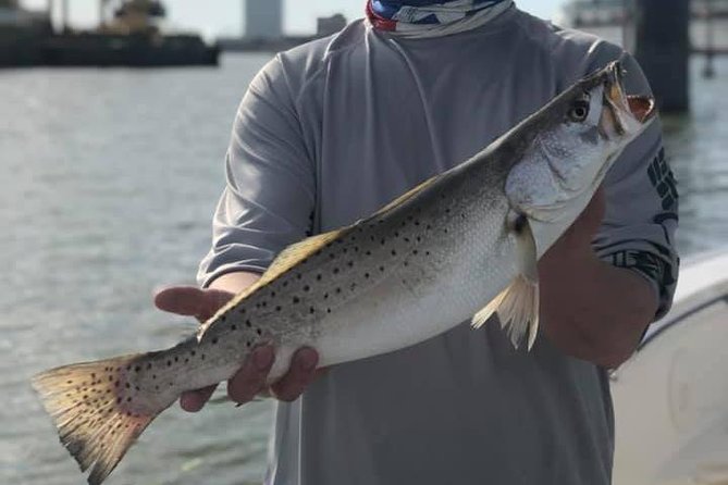 Half-Day Jetty Fishing Trip From Galveston - Included Services