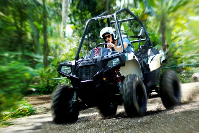 Half Day Jungle Buggies in Bali With Guide - Experience Details
