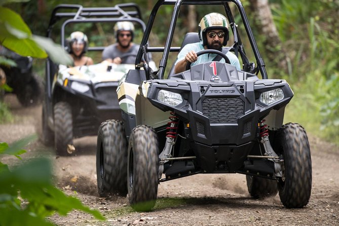 Half Day Jungle Buggies in Bali With Guide - Customer Feedback