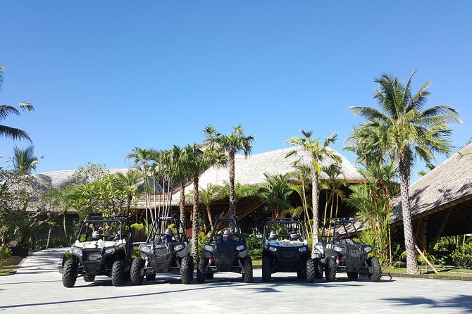 Half Day Jungle Buggies in Bali With Guide - Thrilling Jungle Adventure
