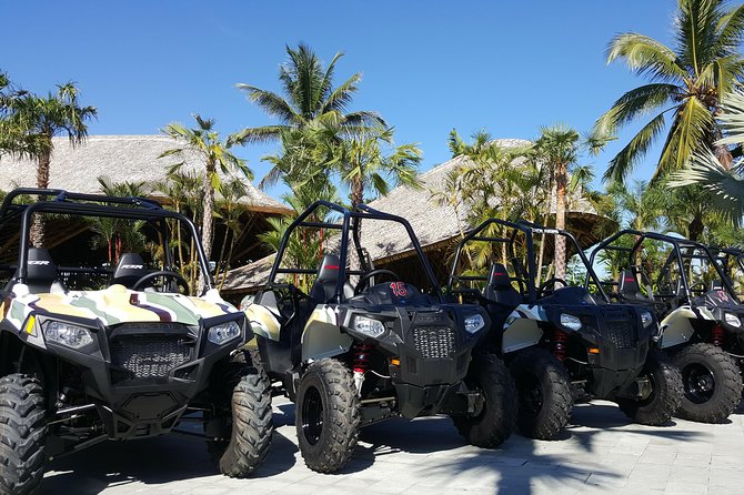 Half Day Jungle Buggies in Bali With Guide - Inclusive Lunch and Transport