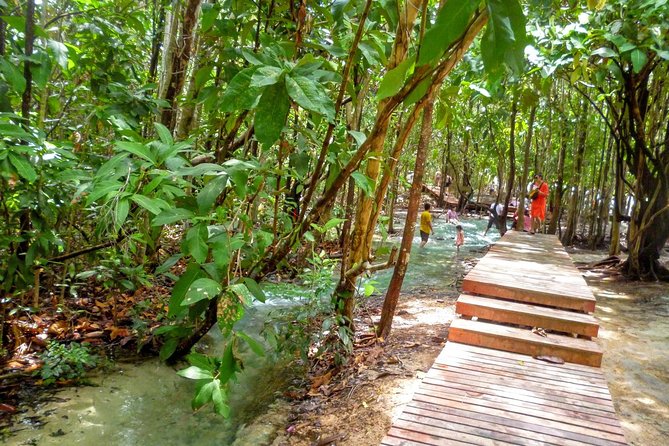 Half-Day Jungle Tour Including Crystal Pool and Krabi Hot Springs - Pickup and Meeting Details