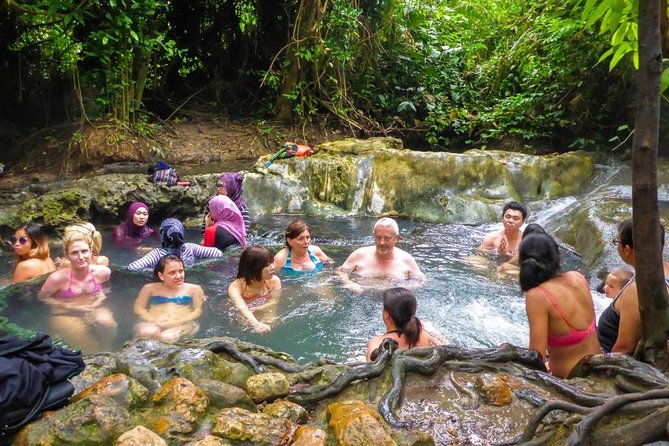 Half-Day Jungle Tour Including Crystal Pool and Krabi Hot Springs - Reviews and Feedback