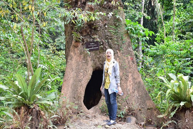 Half-Day Jungle Tour Including Crystal Pool and Krabi Hot Springs - Wildlife Sightings