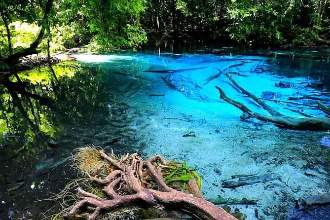 Half Day Jungle Tour to Emerald Pool and Krabi Hot Spring - Inclusions and Costs