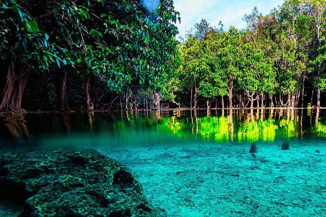 Half Day Jungle Tour to Emerald Pool and Krabi Hot Spring - Pickup and Meeting Points
