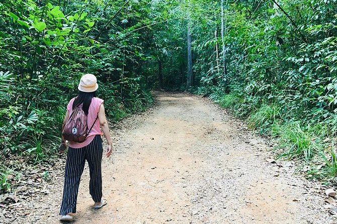 Half Day Jungle Tour to Emerald Pool and Krabi Hot Spring - Tour Experience and Feedback