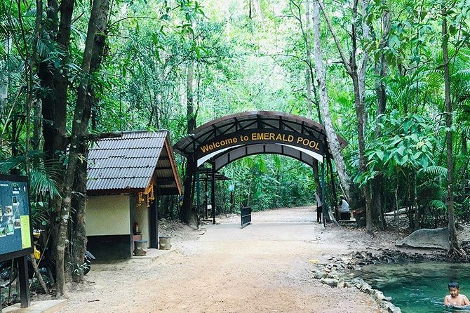 Half Day Jungle Tour to Emerald Pool and Krabi Hot Spring - Recommendations and Considerations