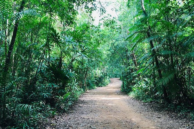 Half Day Jungle Tour to Emerald Pool and Krabi Hot Spring - Jungle Walk and Natural Attractions
