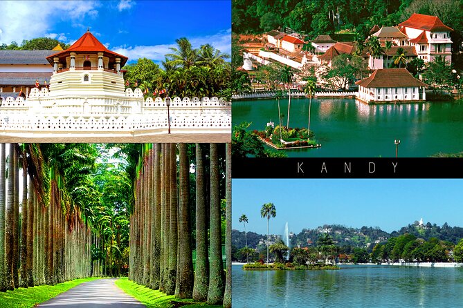 Half-Day Kandy City Tour by Tuk Tuk - Transportation and Destination
