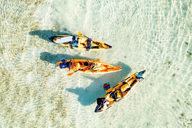 Half-Day Kaneohe Bay Sandbar Self-Guided Kayaking Experience - Included Gear and Supplies