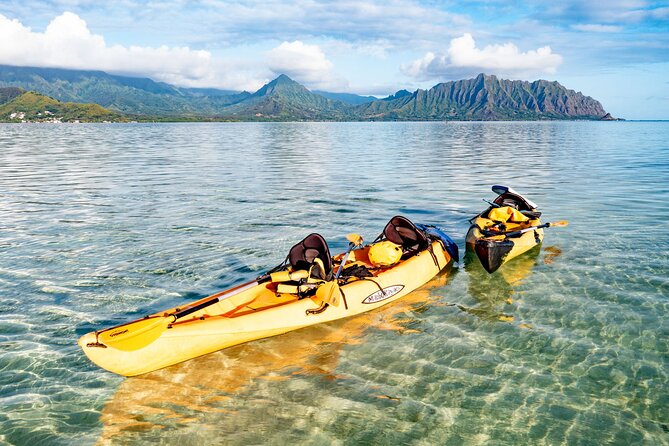Half-Day Kaneohe Bay Sandbar Self-Guided Kayaking Experience - Customer Reviews Summary