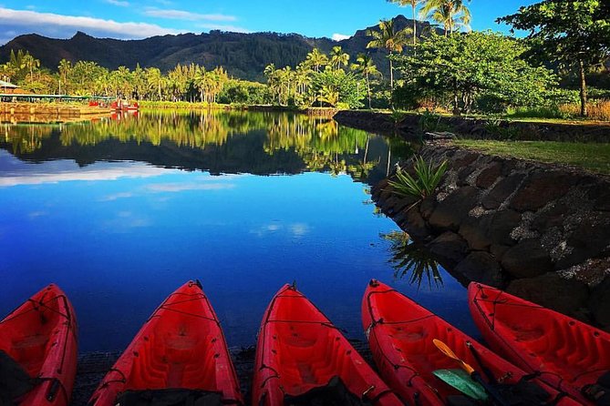 Half-Day Kayak and Waterfall Hike Tour in Kauai With Lunch - Highlights of the Experience