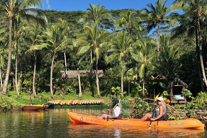 Half-Day Kayak and Waterfall Hike Tour in Kauai With Lunch - Exploring the Wailua River
