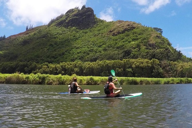 Half-Day Kayak and Waterfall Hike Tour in Kauai With Lunch - Lunch at the Waterfall