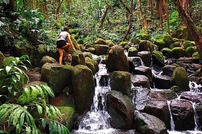 Half-Day Kayak and Waterfall Hike Tour in Kauai With Lunch - Returning to the Meeting Point
