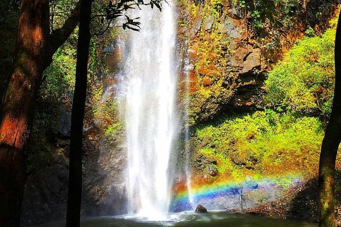 Half-Day Kayak and Waterfall Hike Tour in Kauai With Lunch - Cancellation Policy and Reviews