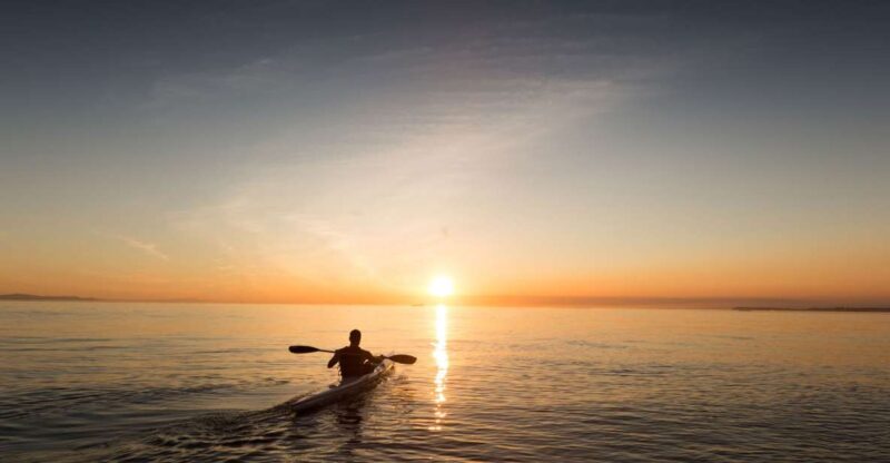 Half-Day Kayak Excursion From Portonovo - Key Points