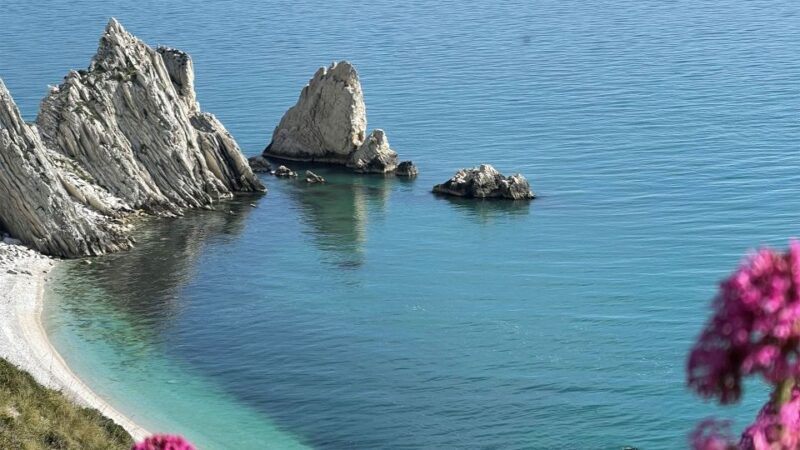 Half-Day Kayak Excursion From Portonovo - Meeting Point and Important Notes
