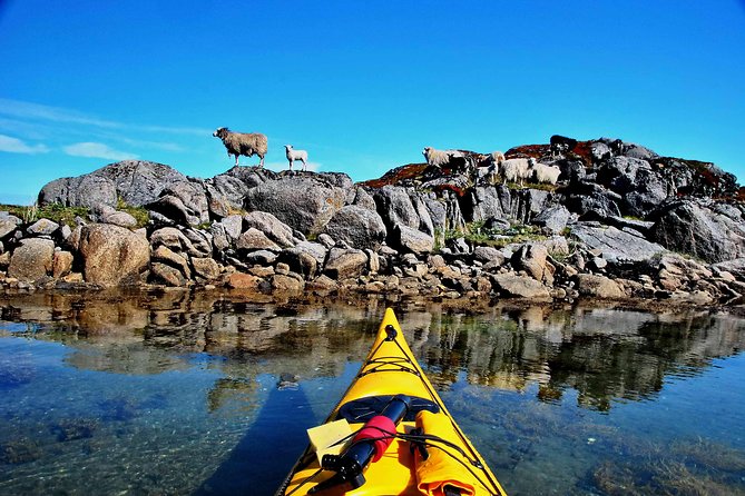 Half Day Kayak - Northern Explores AS - Weather and Attire