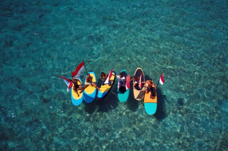 Half Day Kayak or Stand up Paddle Board - Experience Highlights