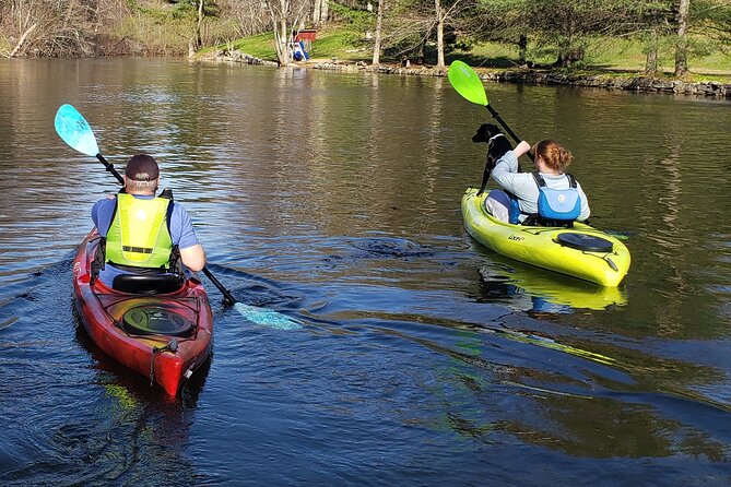 Half Day Kayak Rental on Sebago Lake - Accessibility and Restrictions