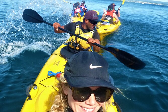 Half-Day Kayak to the Maori Rock Carvings in Lake Taupo - Tour Reviews and Feedback