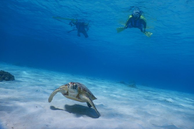 Half-Day Kayak Tour on the Kerama Islands and Zamami Island - Kayaking the Uninhabited Islands