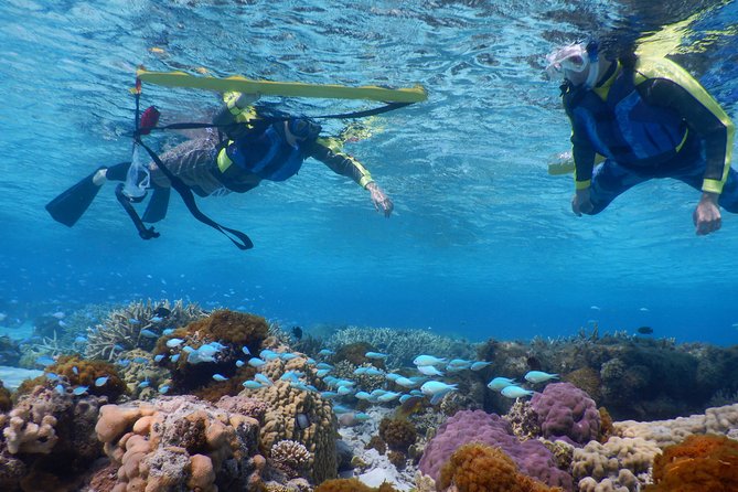 Half-Day Kayak Tour on the Kerama Islands and Zamami Island - Cancellation and Refund Policy