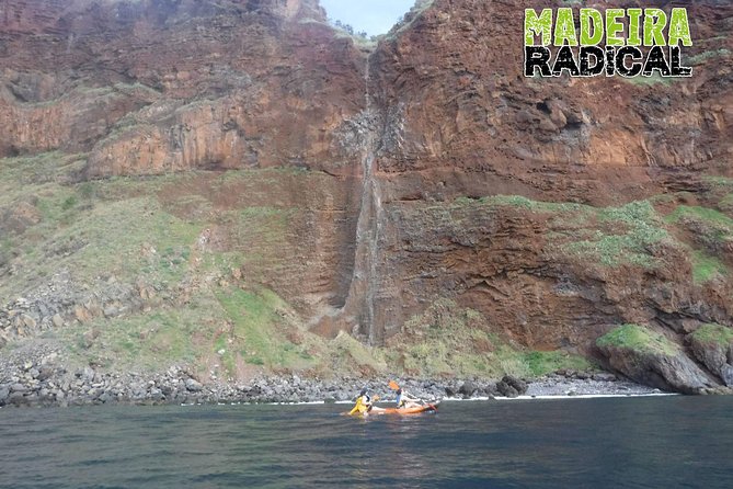 Half Day Kayak Tours - Customer Experiences