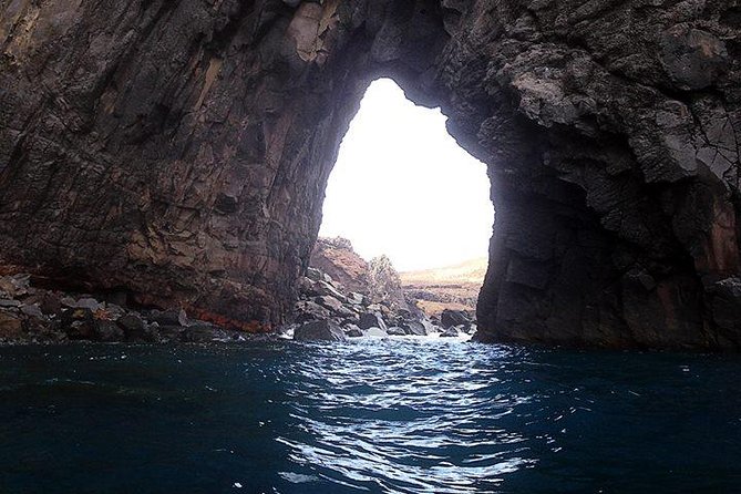 Half Day Kayak Tours - Activity Highlights