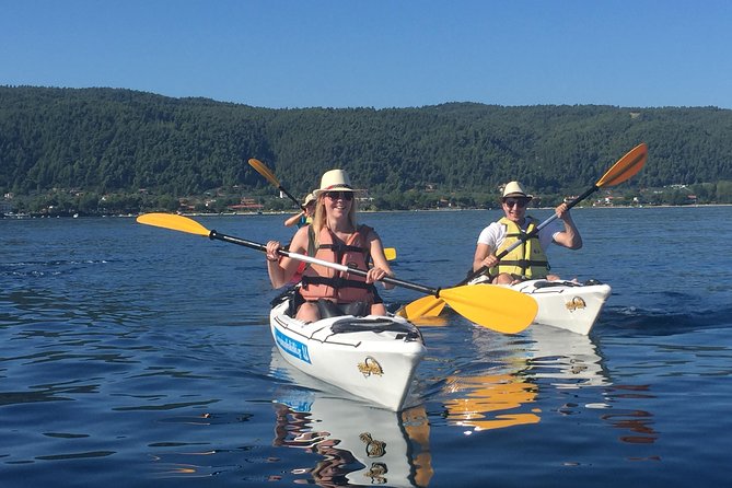 Half Day Kayak Trip - Important Considerations