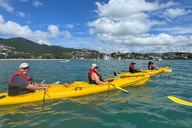 Half Day Kayak Turtle Tour - What the Tour Offers: A Step-by-Step Breakdown