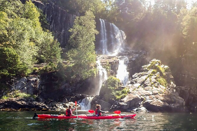 Half-Day Kayaking Lysefjord - Itinerary Highlights