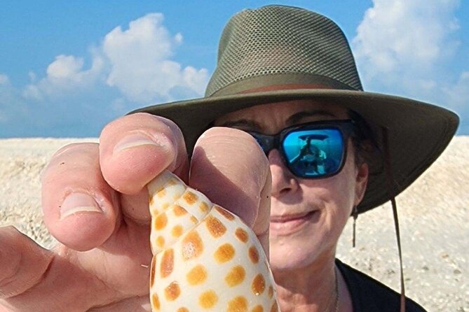 Half Day Keewaydin Shelling and Beach Adventure (Private) - Booking Details