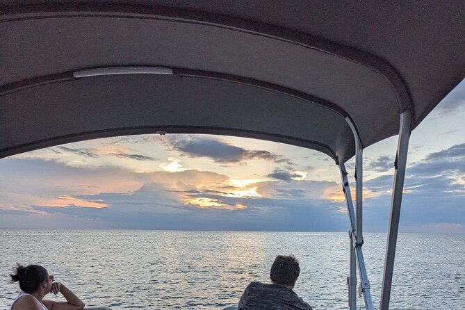 Half Day Keewaydin Shelling and Beach Adventure (Private) - Ride on Custom Boat