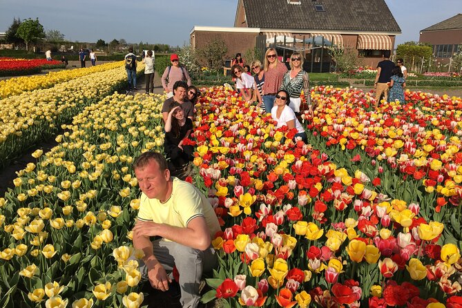 Half Day Keukenhof Tulip Paradise Trip From Amsterdam - Highlights