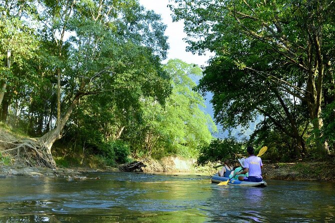 Half Day Khao Sok River Tour By Bamboo Raft From Khao Lak - Memorable Bamboo Raft Experience