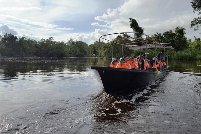 Half Day Klias Mangrove Wildlife and Fireflies With Dinner - Good To Know