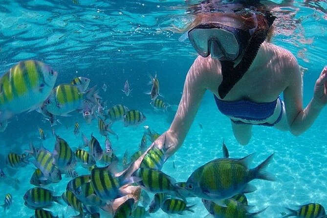 Half-Day Koh Khai Island Tour With Pick up - Traveler Reviews
