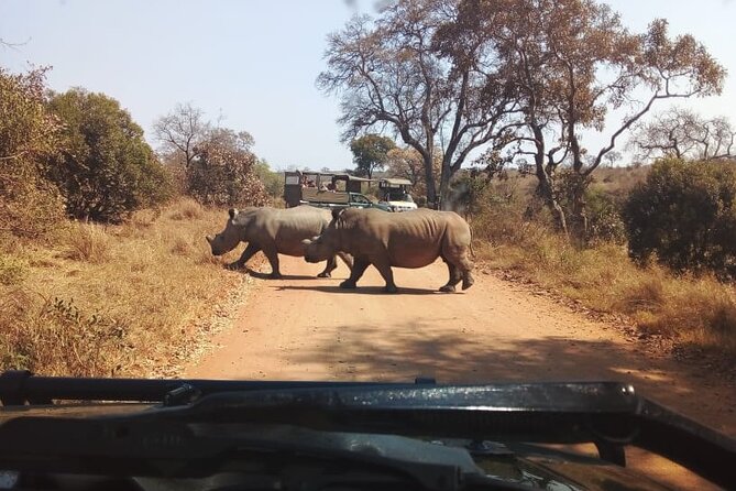 Half Day Kruger Open Vehicle Safari From Marloth Park - Cancellation and Refund Policy