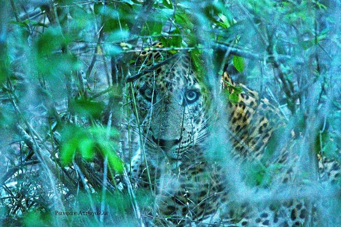 Half-Day Kumana National Park Private Safari With Pickup - Booking and Payment
