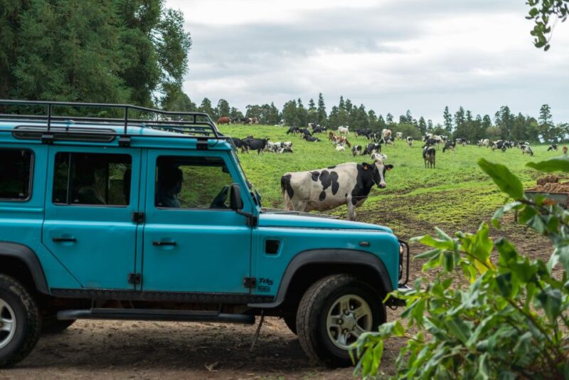 Half Day Lagoa Do Fogo 4X4 Tour and Gin Library - Itinerary Highlights
